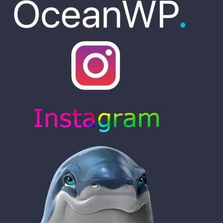 افزونه اینستاگرام OceanWP