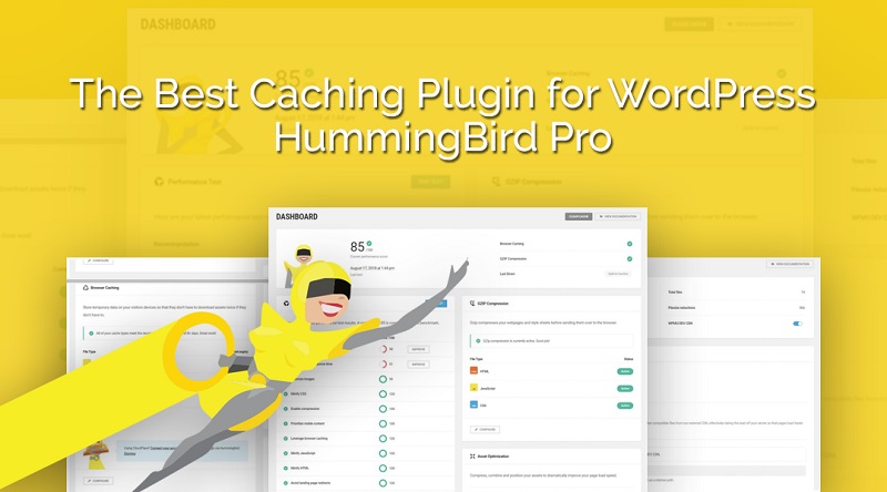 افزونه بهینه سازی و افزایش سرعت مرغ مگس خوار | WPMU DEV Hummingbird Pro