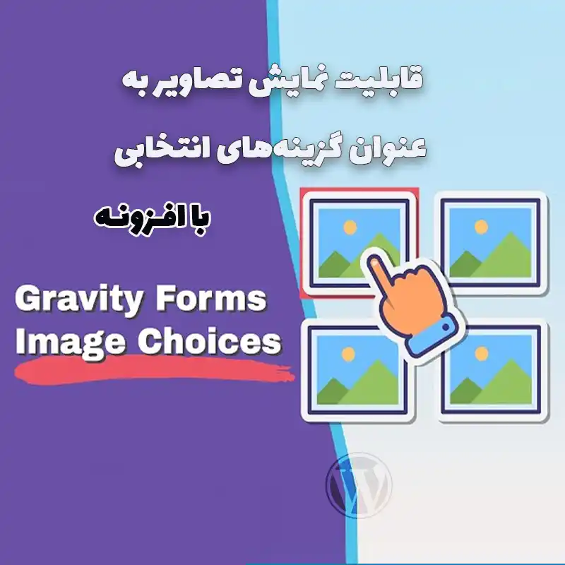افزونه Gravity Forms Image Choices