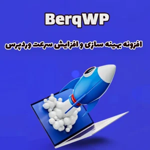 افزونه بهینه سازی و افزایش سرعت وردپرس BerqWP